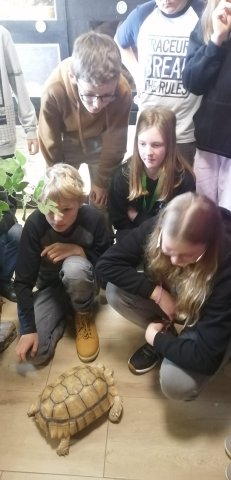 navstevateraristiky 19